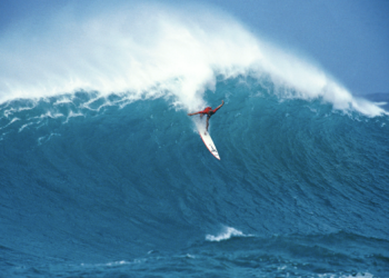 The Short History Of Bluebottles — Surfing World Magazine