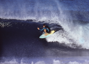 The Short History Of Bluebottles — Surfing World Magazine