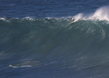 The Short History Of Bluebottles — Surfing World Magazine